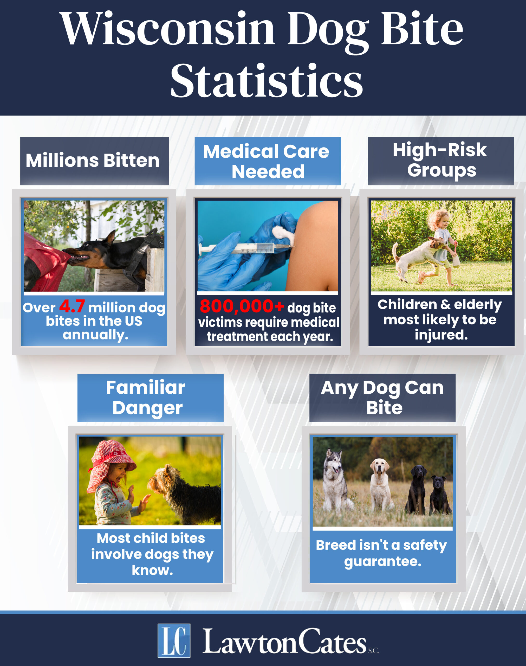 Dog Bites Stats