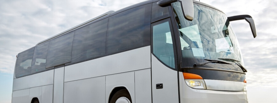 bus